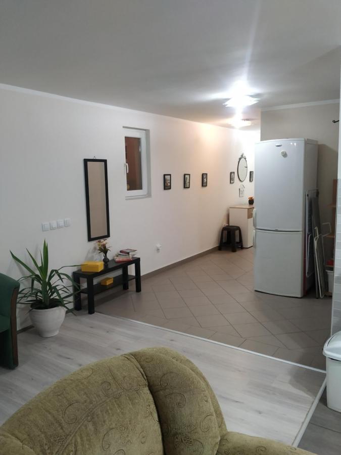 Ariana Apartman Kragujevac Bagian luar foto