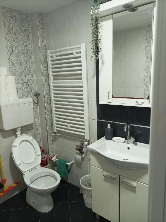 Ariana Apartman Kragujevac Bagian luar foto